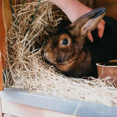 Orea Panorama Moravsky Kras