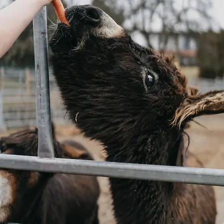 Orea Panorama Moravsky Kras Hotel 4*